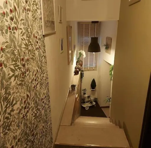 Moment Lamaisien Lamaids